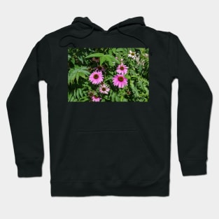 Echinacea Garden Hoodie